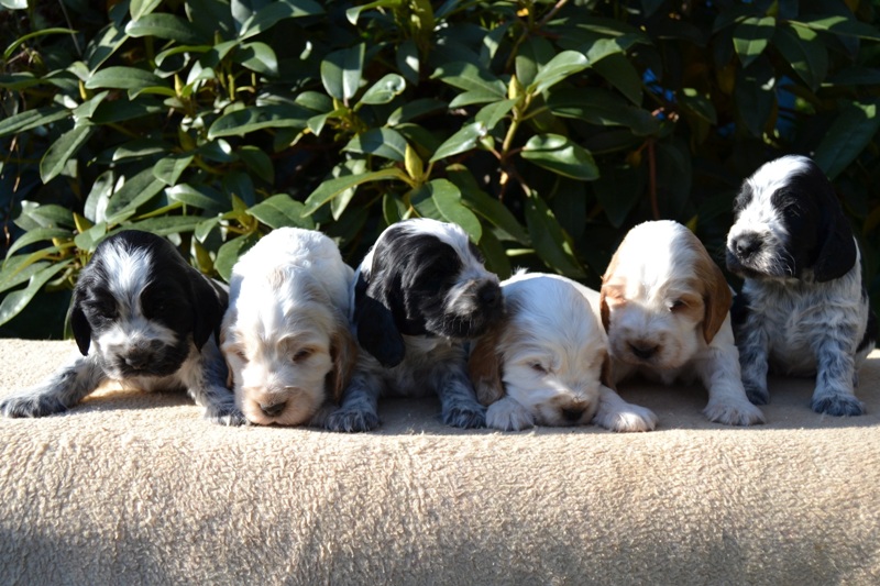 14-Janet, Jantar, Just, Jambo, Jessi, Janie.JPG